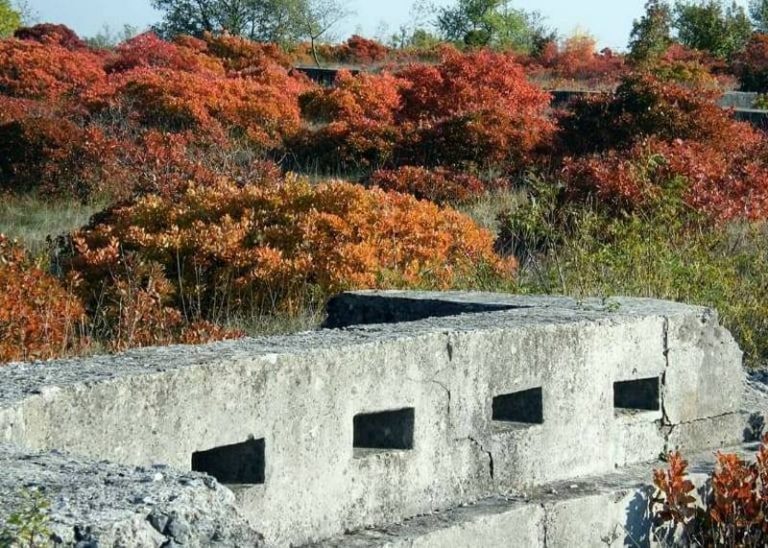 Gli itinerari della Grande Guerra: Alla scoperta di Redipuglia e del Monte Sei Busi